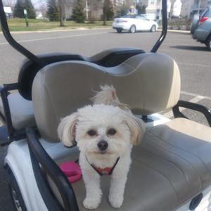 Meet your Posher, Michele